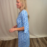 Blue Turtles Travel Dress